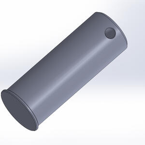 View Case Pin