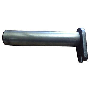 View Case Pin